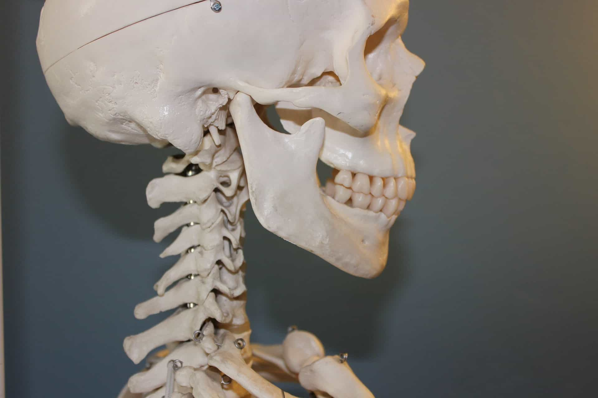 Fisioterapia del atm articulación temporo mandibular