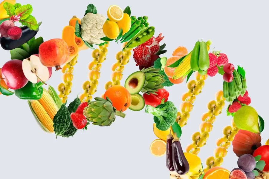 dietista nutricionista